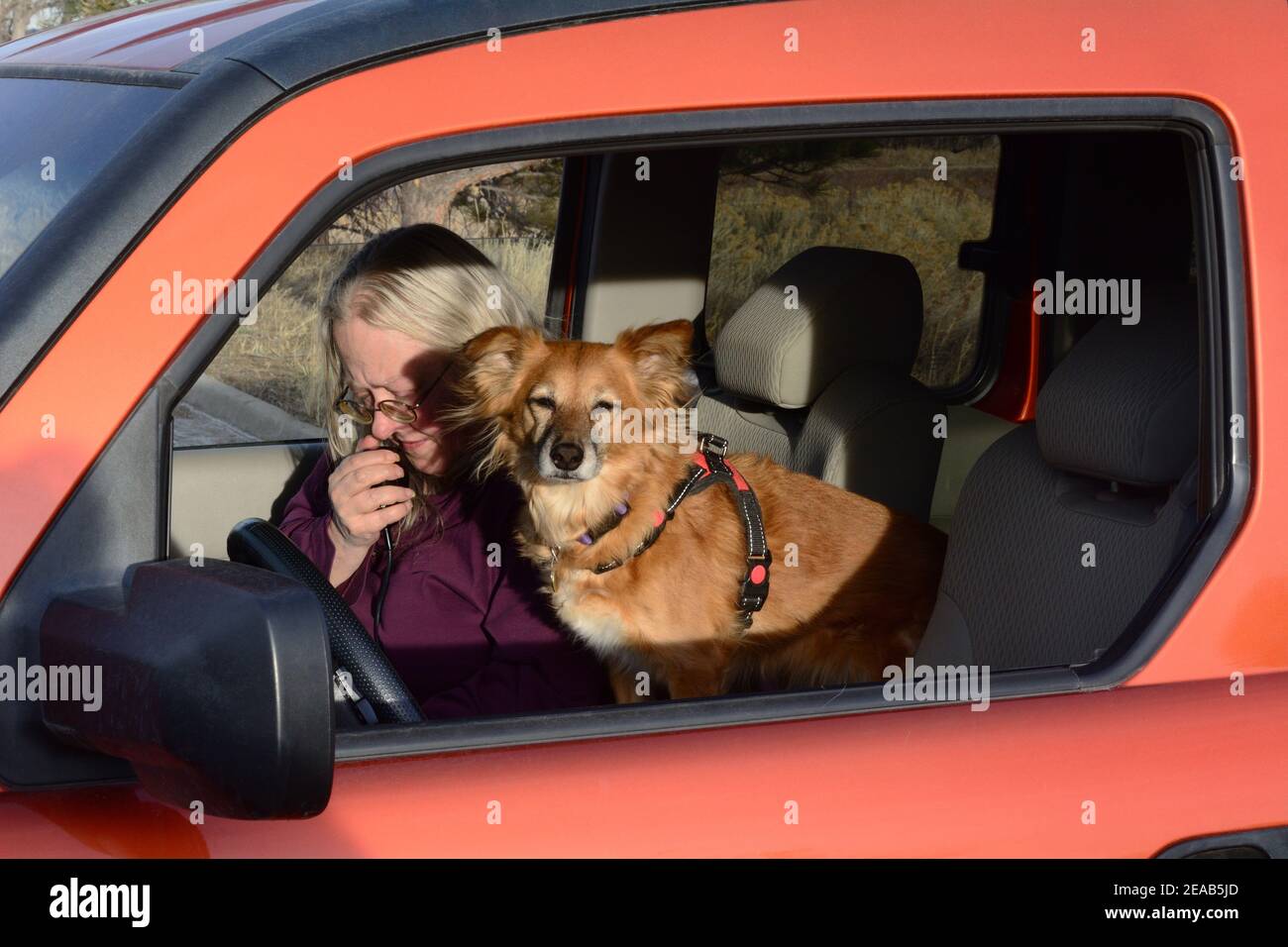 Mujer Ham radioaficionado haciendo un contacto de voz SSB de coche con su perro sentado a su lado Foto de stock