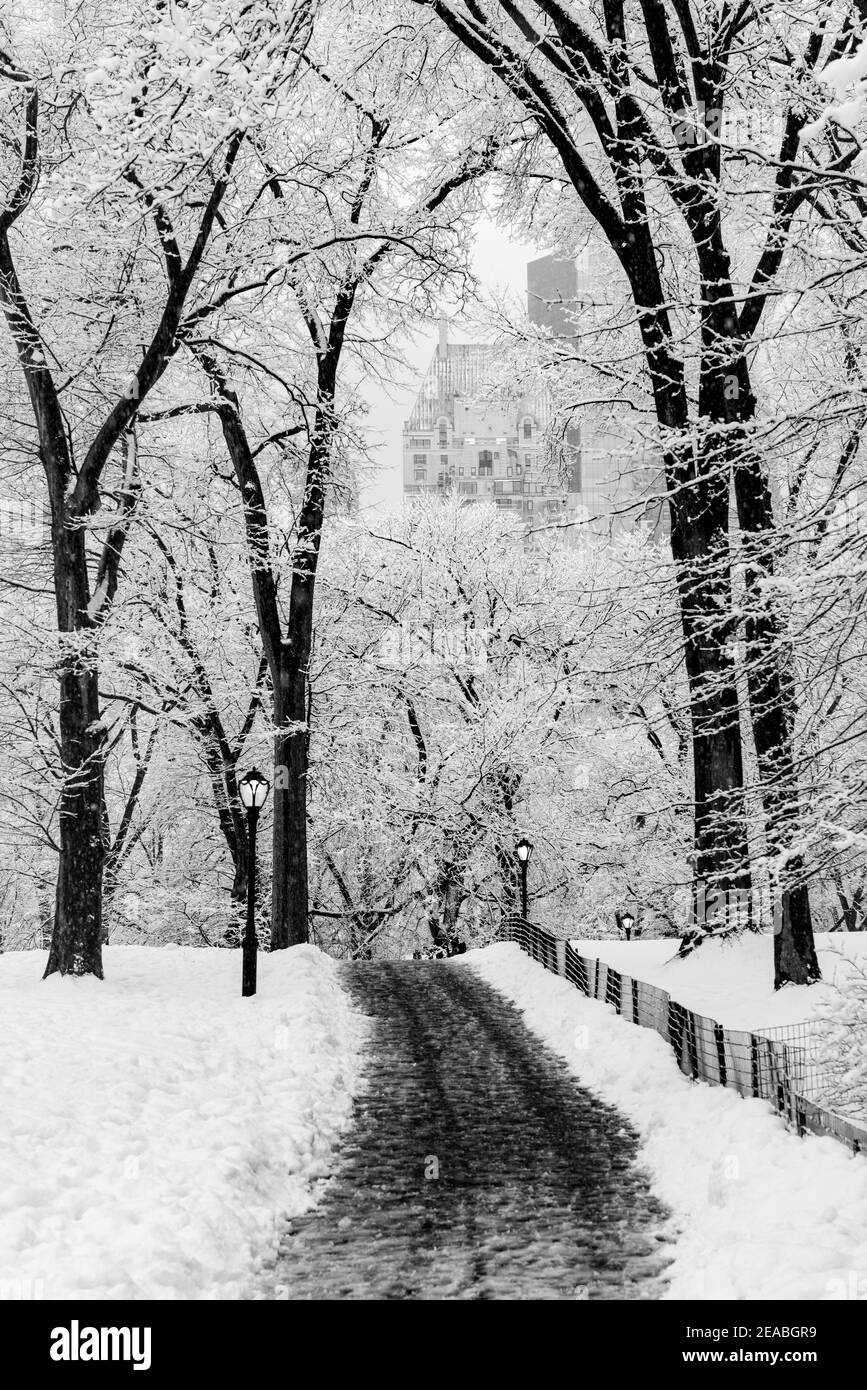 Imagen eterna del camino de Central Park durante una tormenta de nieve. Foto de stock