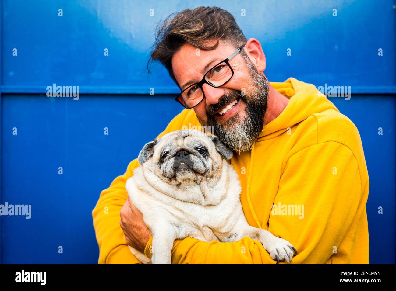 Alegre hombre adulto sonrisa y abrazo con amor propio perro viejo pug en un retrato con amarillo y azul color - las personas con animales y gafas disfrutan de la mascota concepto de terapia Foto de stock