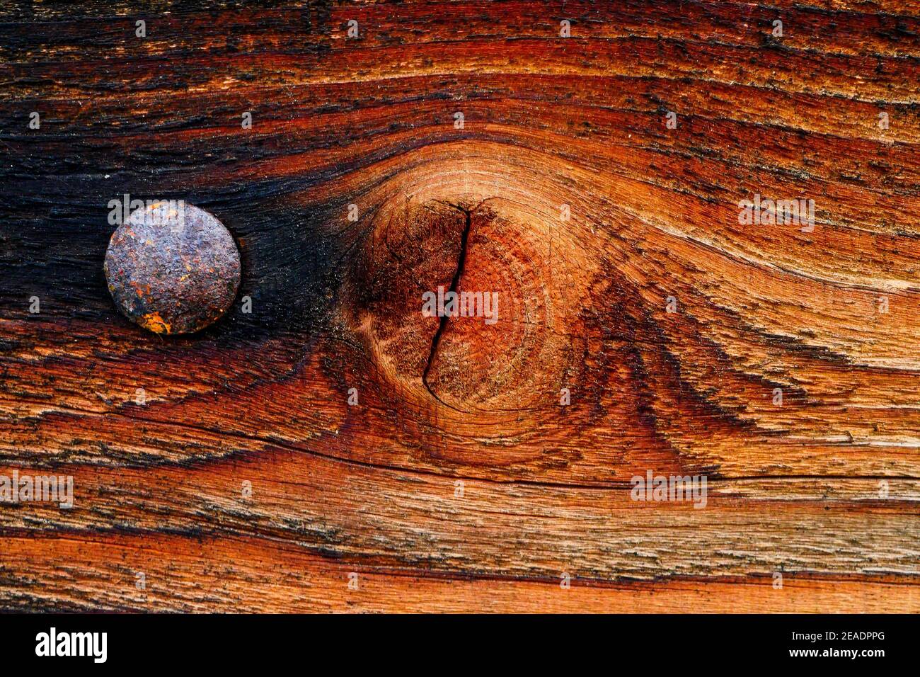 Nudo y remache de metal en una tabla de madera, vista de cerca, Francia  Fotografía de stock - Alamy