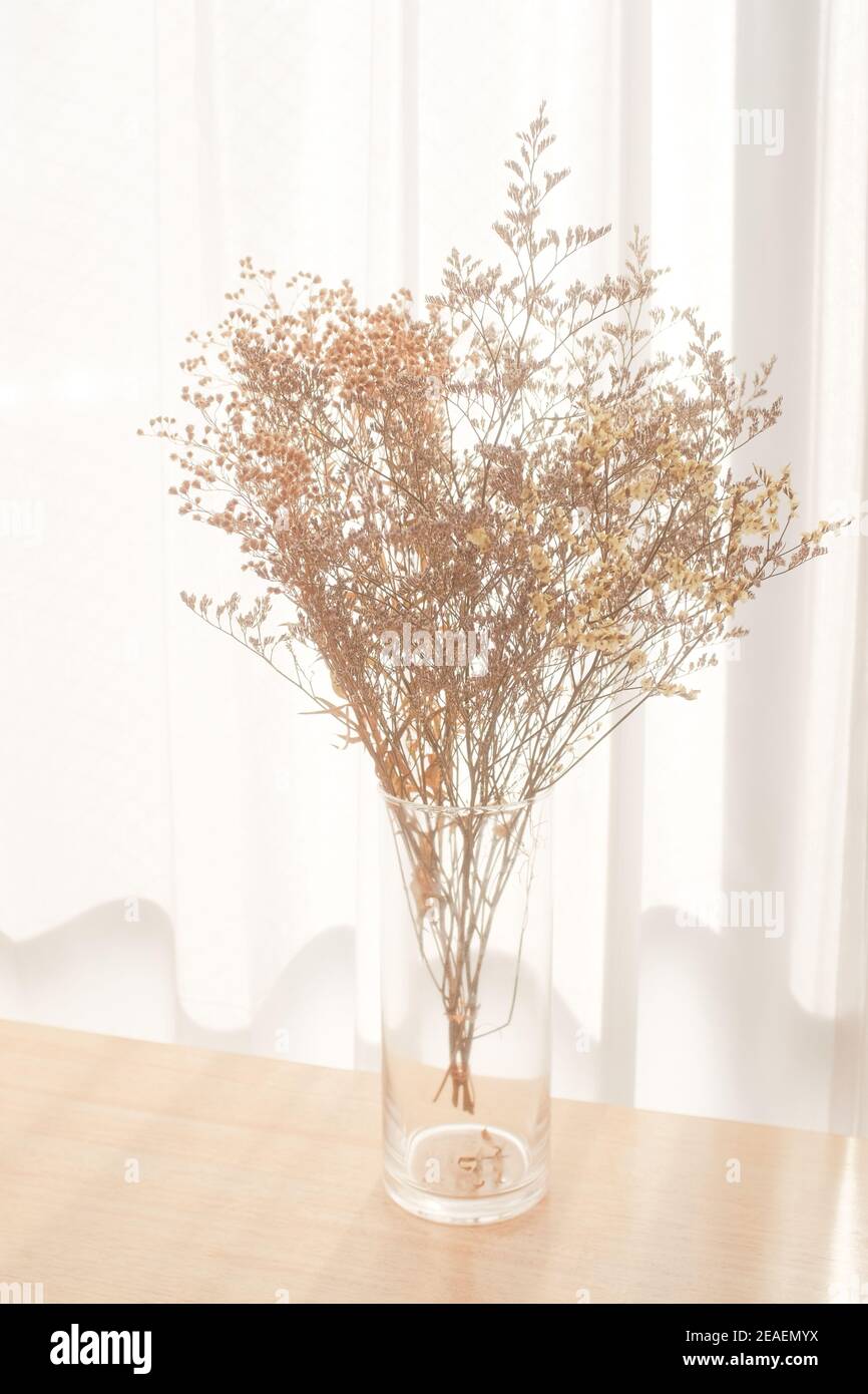 Tiro vertical de flores secas decorativas ramas en un transparente