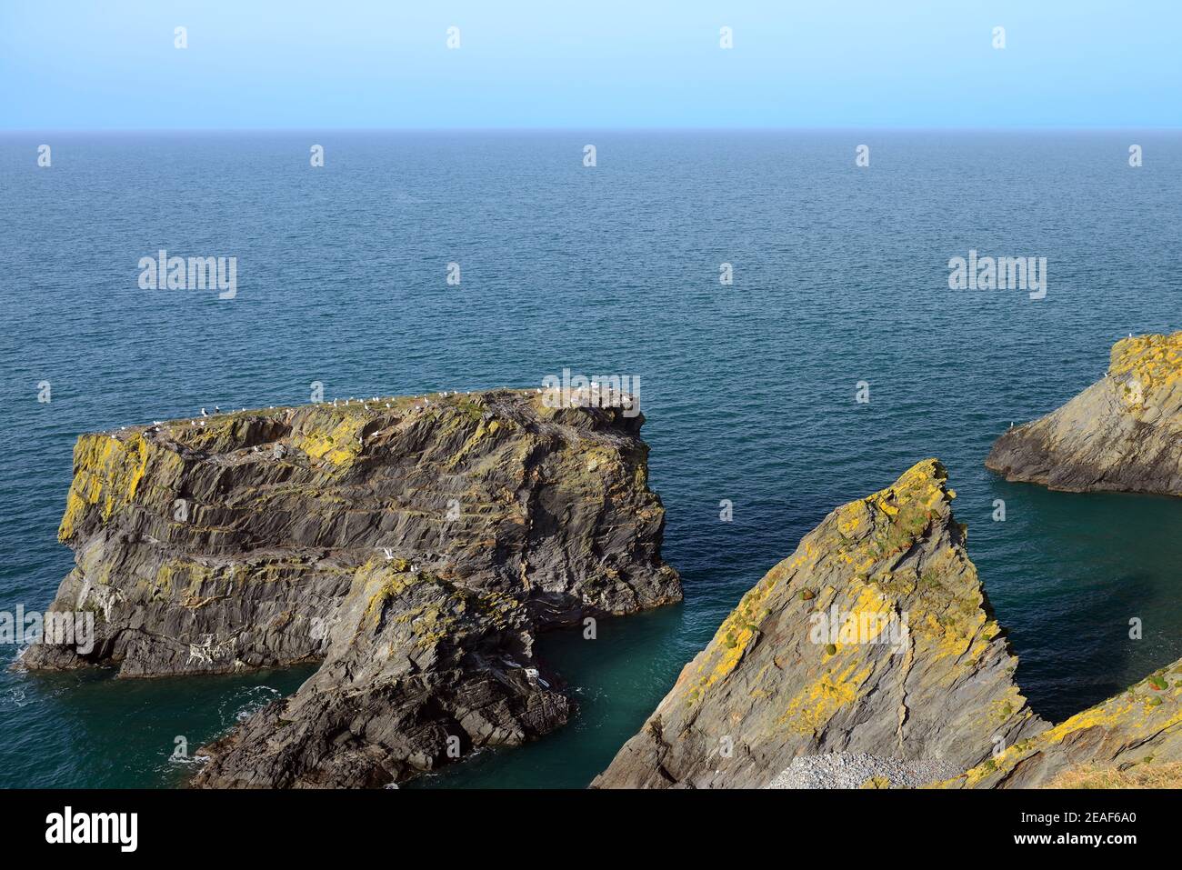 La pila de mar Trwyn y tal está en la ruta costera de Gales cerca de Trefor en la península de Lleyn. Foto de stock