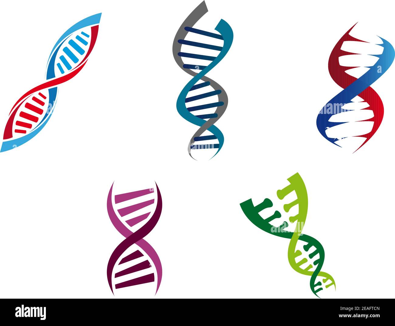 Ilustración de dibujos animados de filamentos de ADN de colores con su  estructura helicoidal enrollada de nucleótidos genéticos, cinco variantes  diferentes Imagen Vector de stock - Alamy
