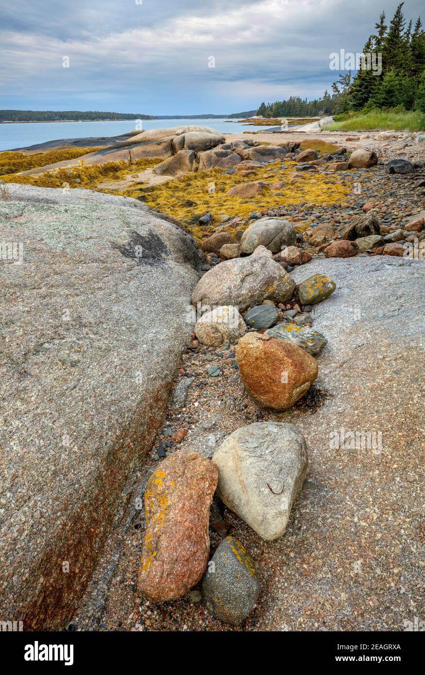 Deer Isle, Maine: Coloridas rocas en la costa de Jericho Bay Foto de stock