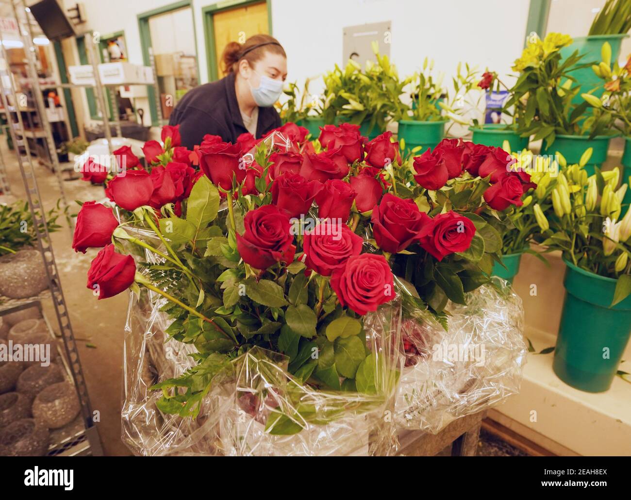 Florerias Stephanie Consolino empuja un carrito lleno de rosas de tallo  largo a una estación donde hará los arreglos para San Valentín, en  Florerías en Walter Knoll en San Luis el martes,