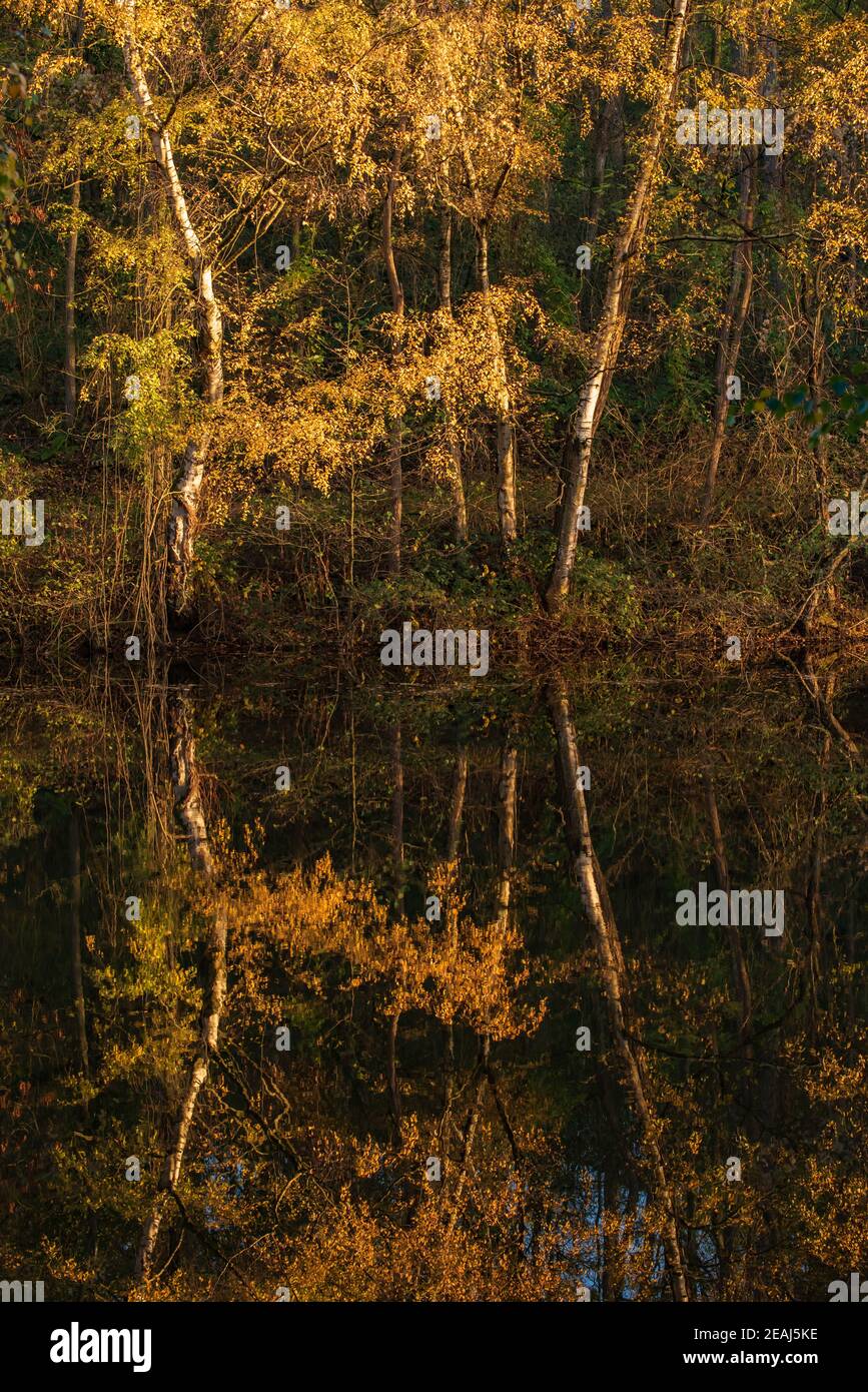 Colores de noviembre fotografías e imágenes de alta resolución Alamy