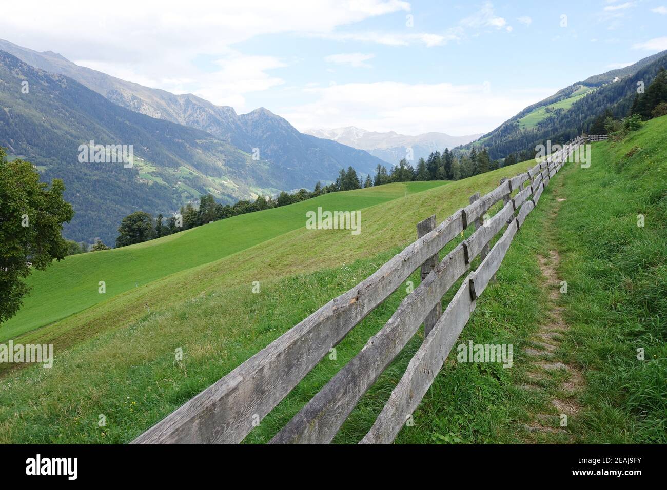 Wanderung oberhalb von Verdins mit Blick ins Passeiertal auf die À-tztaler Alpen Foto de stock