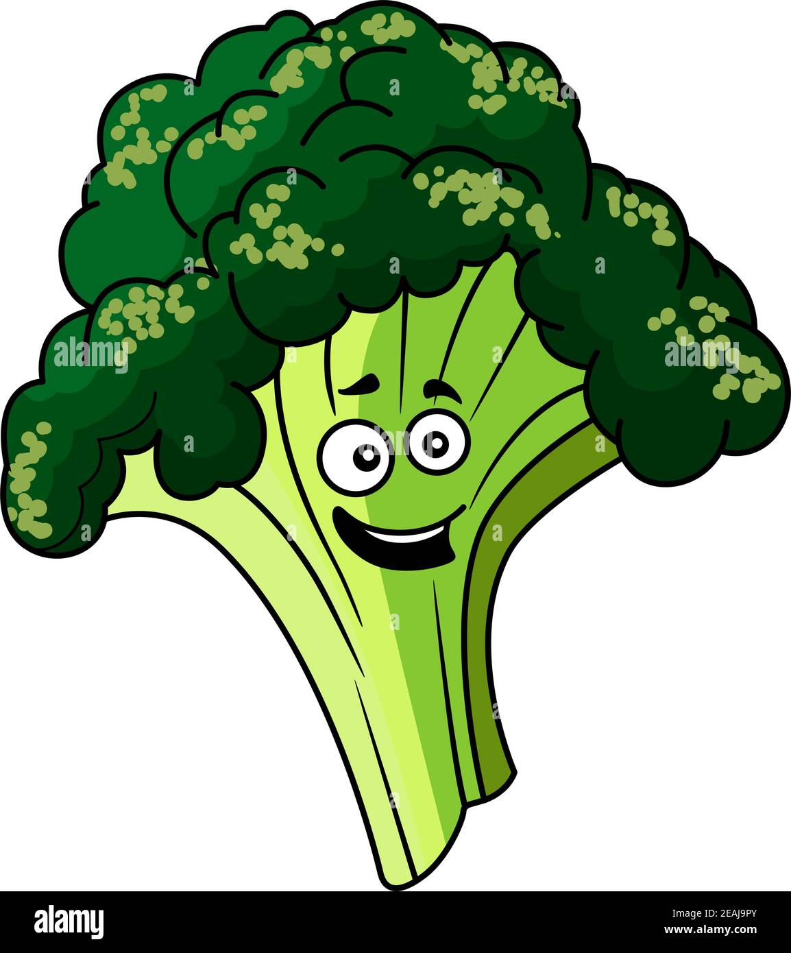 Feliz granja sonriente verduras de brócoli verde fresco para un ingrediente  de cocina saludable, ilustración de dibujos animados aislados en blanco  Imagen Vector de stock - Alamy