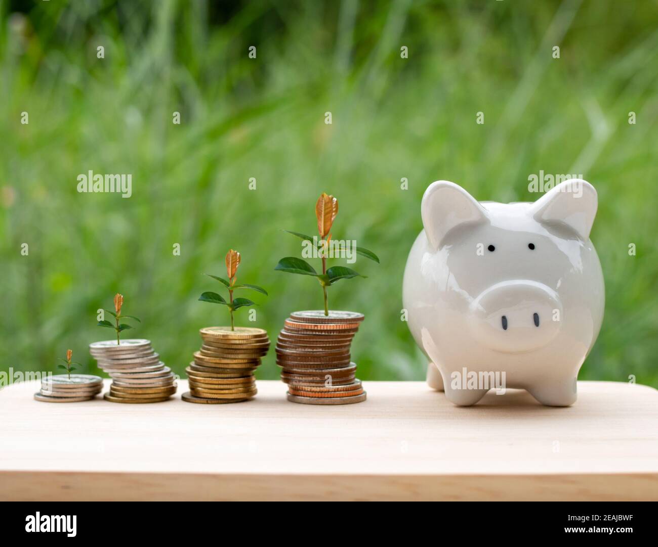 El banco piggy y la moneda de dinero se colocan sobre una mesa de madera sobre fondo natural. Con árboles creciendo en un montón de dinero representa el concepto de crecimiento financiero. Ideas de negocios y ahorros Foto de stock