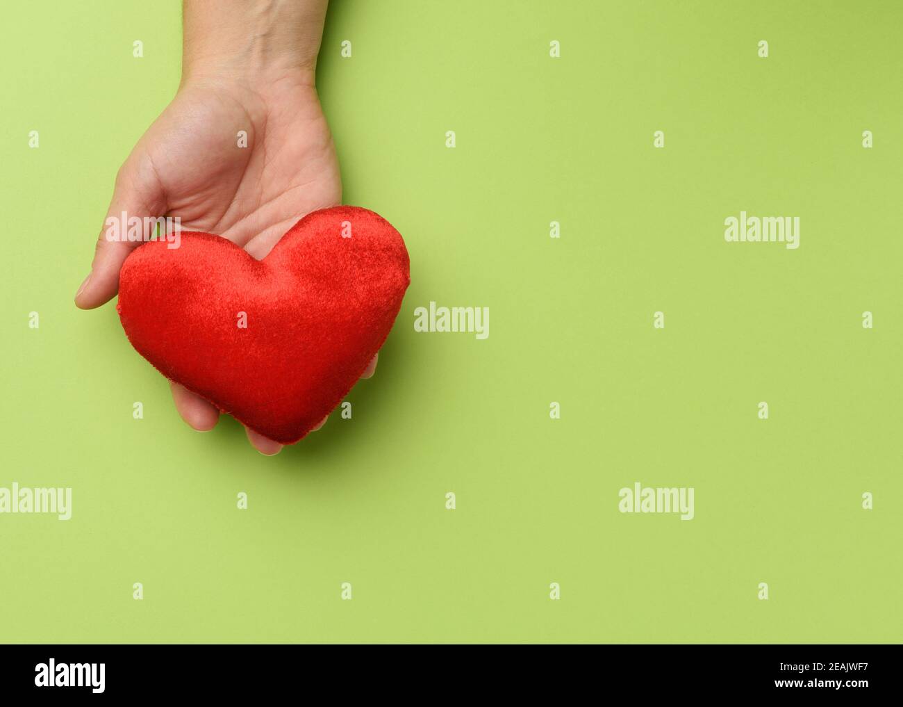 la mano femenina sostiene el corazón textil rojo, fondo verde Foto de stock