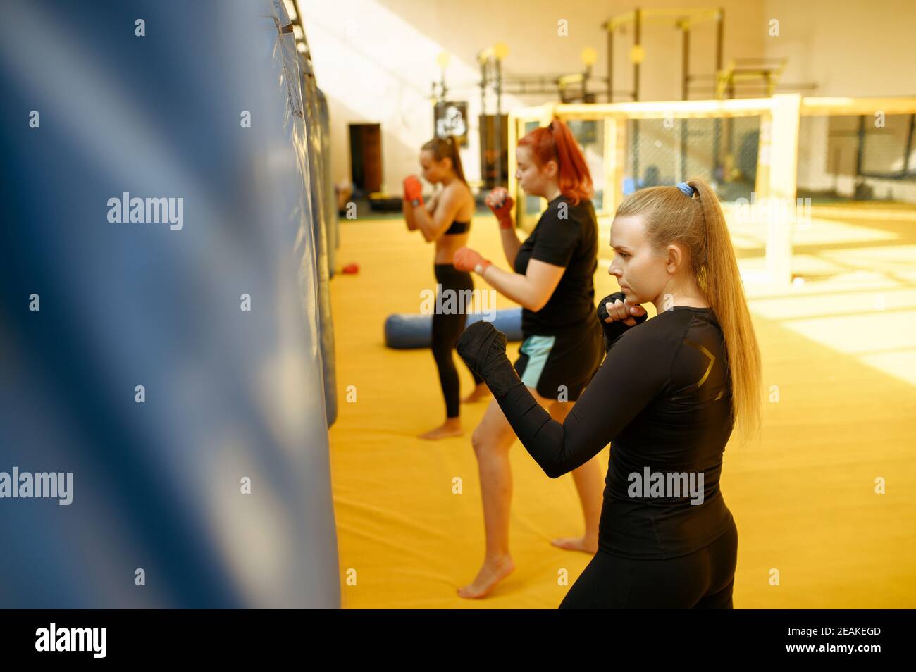 MMA combatientes golpea las bolsas en el gimnasio, grupo femenino Foto de stock