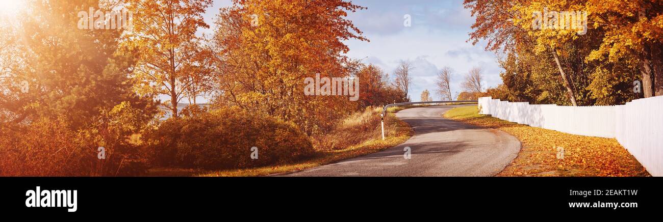 viejo camino de asfalto con árboles hermosos en otoño Foto de stock