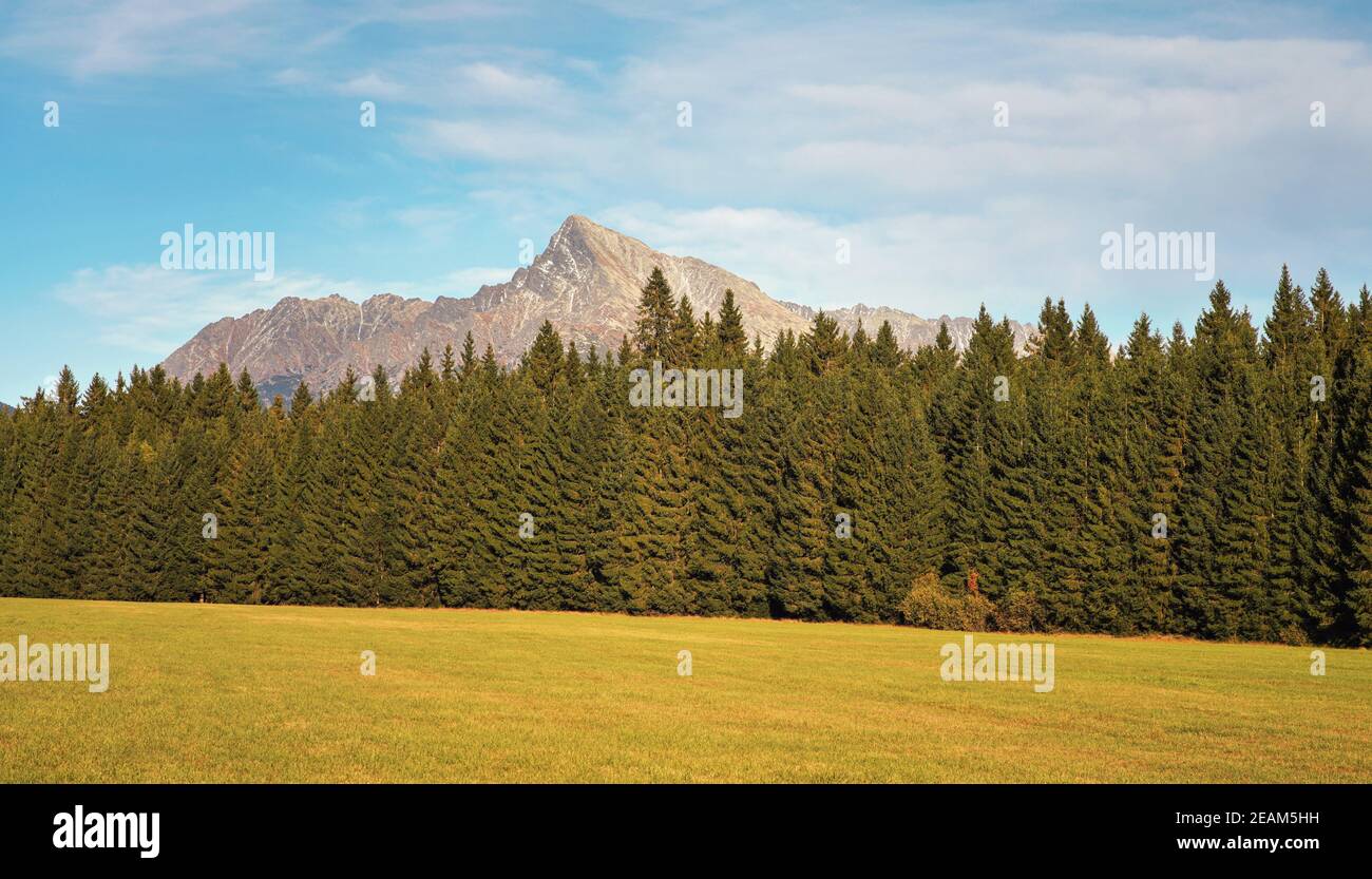 Monte Krivan pico eslovaco símbolo amplio panorama con pradera de otoño en primer plano, paisaje otoñal típico de la región de Liptov, Eslovaquia Foto de stock