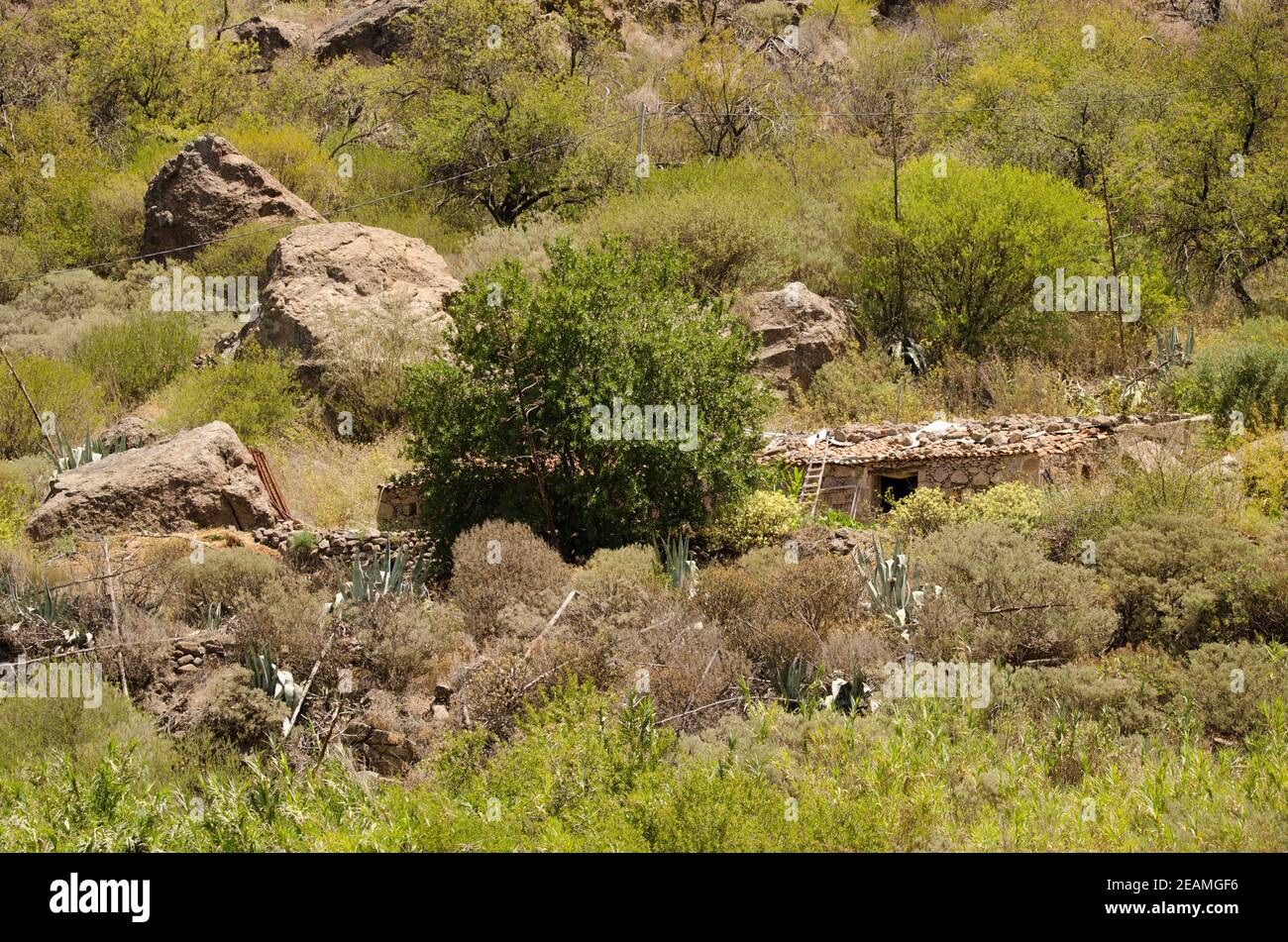 Cabaña de piedra en el Parque Rural Nublo. Foto de stock