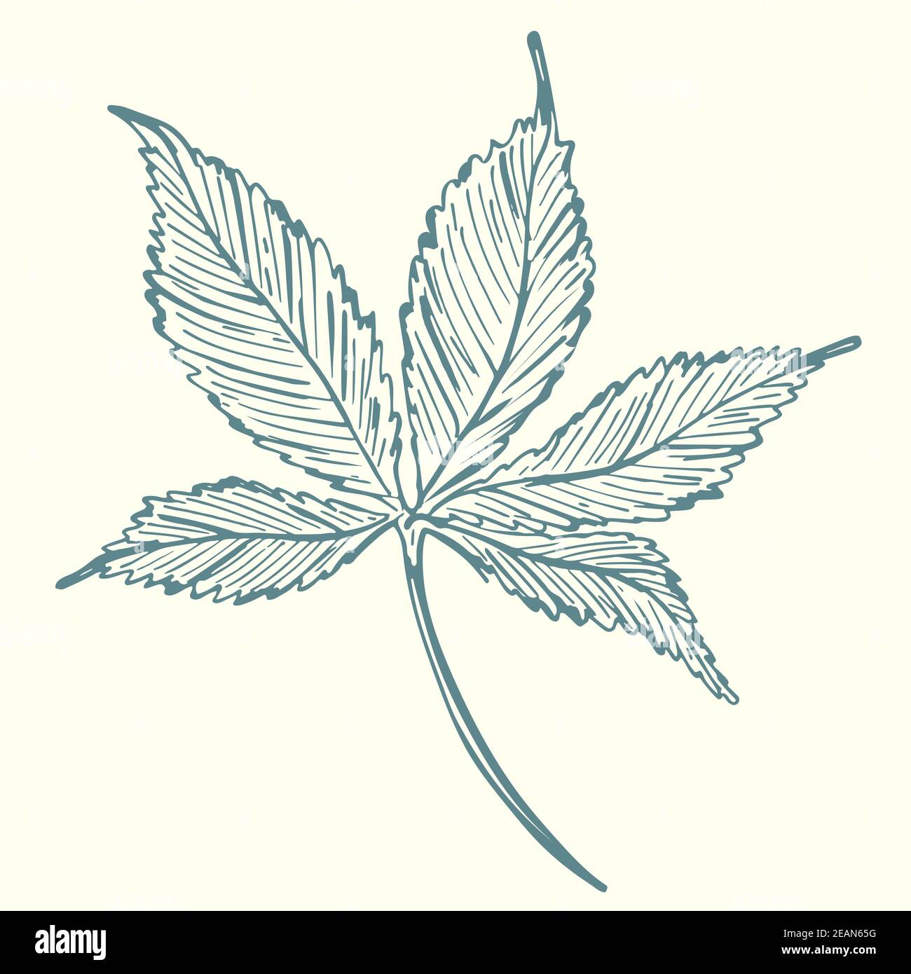 Dibujo Hoja De Arbol - Dibujo Lineal Continuo Del Arbol Con La Hoja Una