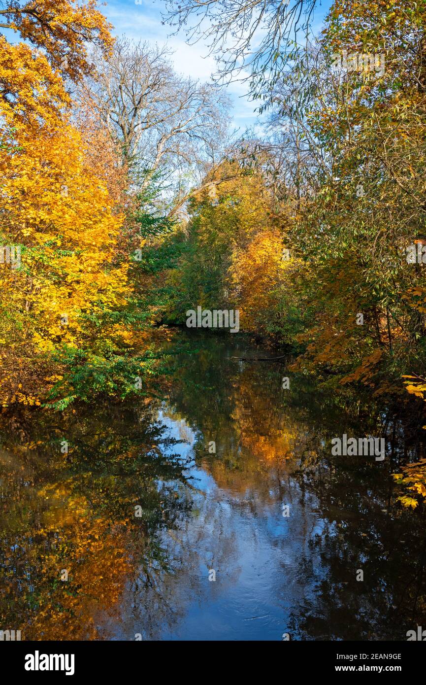 Otoño escénico con árboles reflejos en un río Foto de stock