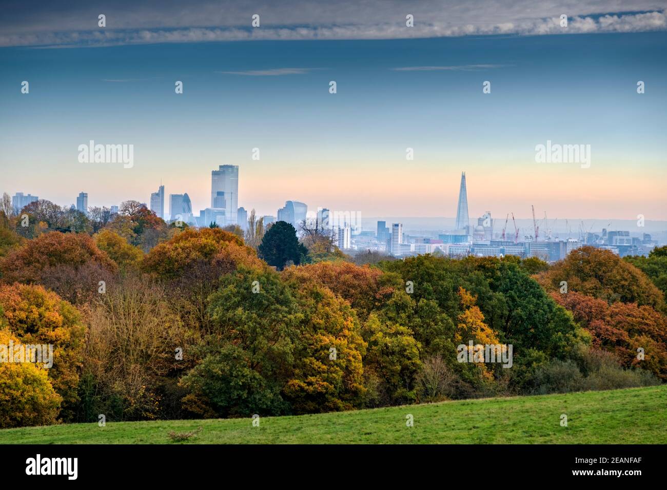 Woodland on Hampstead Heath en otoño, y el horizonte del distrito financiero de la ciudad de Londres, Highgate, Londres, Inglaterra, Reino Unido, Europa Foto de stock
