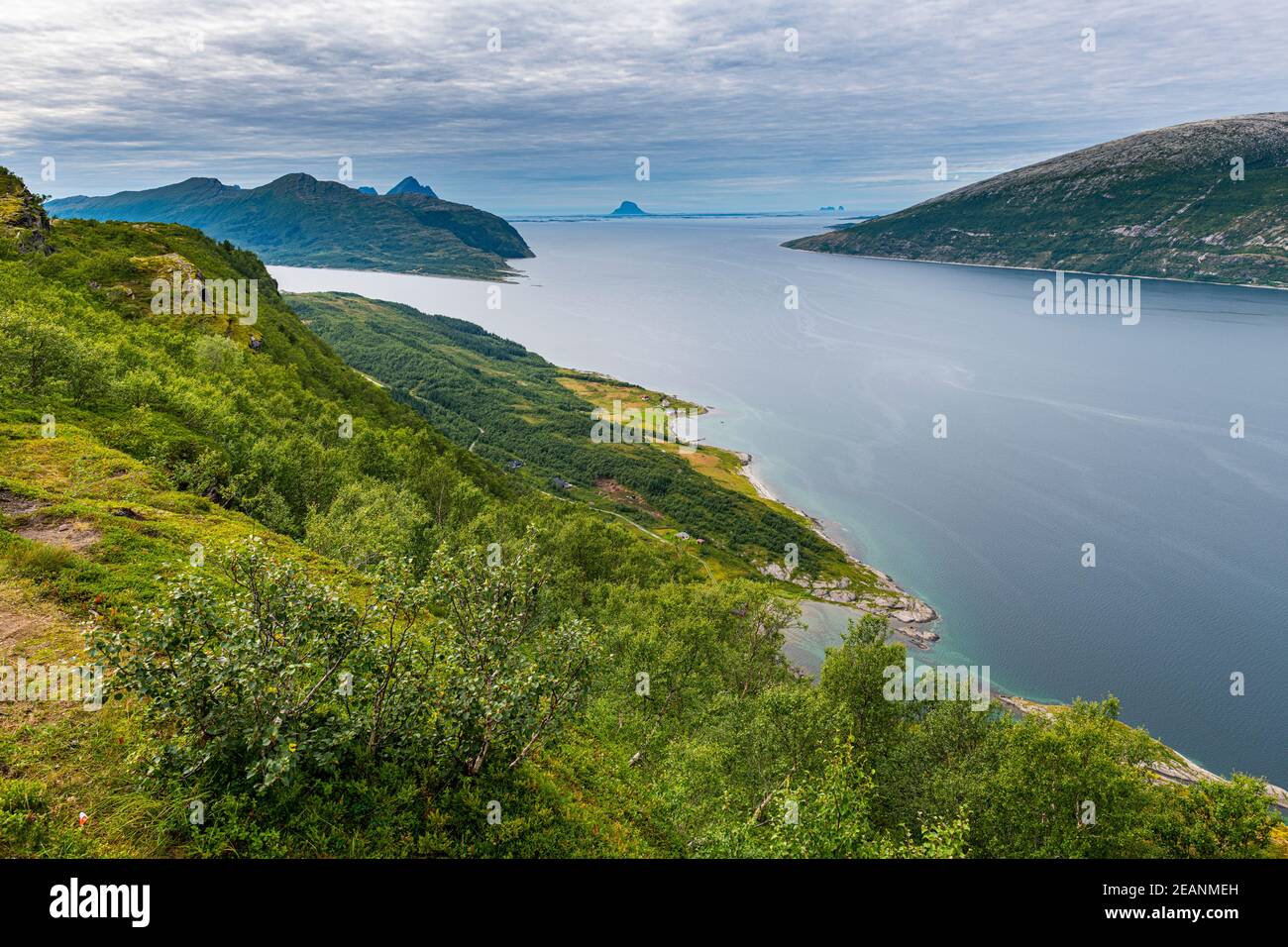 Costa escarpada a lo largo de la carretera costera de Kystriksveien, Noruega, Escandinavia, Europa Foto de stock