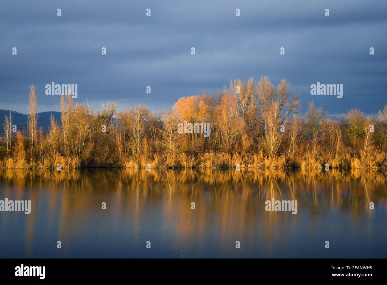 Follaje de color naranja reflejado en un tranquilo lago en Burgenland Foto de stock