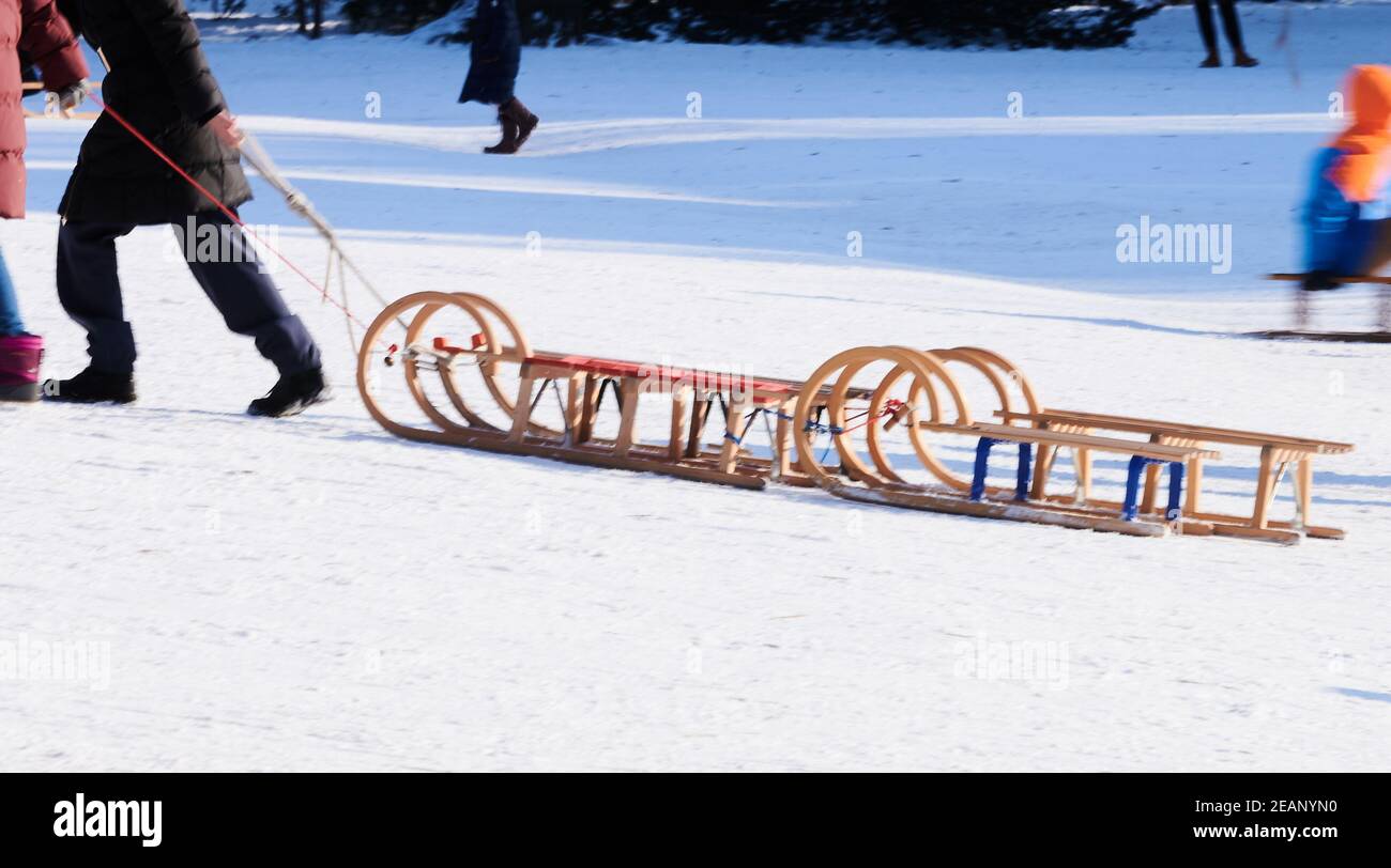 Berlín, Alemania. 10 de febrero de 2021. Los adultos tiran trineos en invierno soleado en Volkspark am Weinberg. Crédito: Annette Riedl/dpa/Alamy Live News Foto de stock