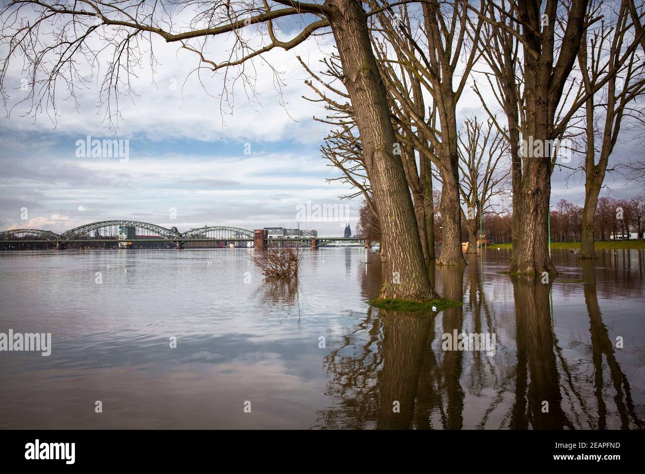 Inundación del río Rin el 5 de febrero. 2021, el prado inundado en el distrito de Poll, vista al puente sur y la catedral, Colonia, Alemania. Foto de stock