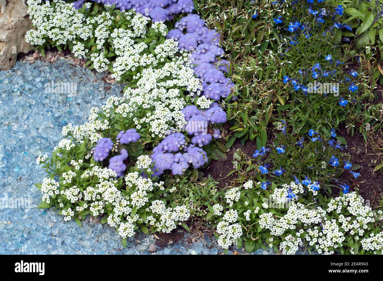 Grabbepflanzung Randbepflanzung, Blumen Foto de stock