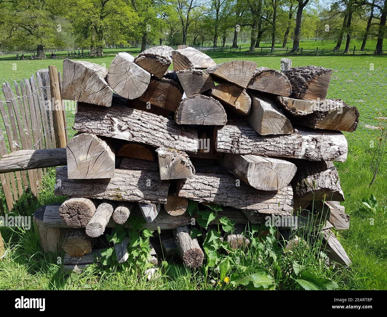 Holzstapel, Brennholz, Holz Foto de stock
