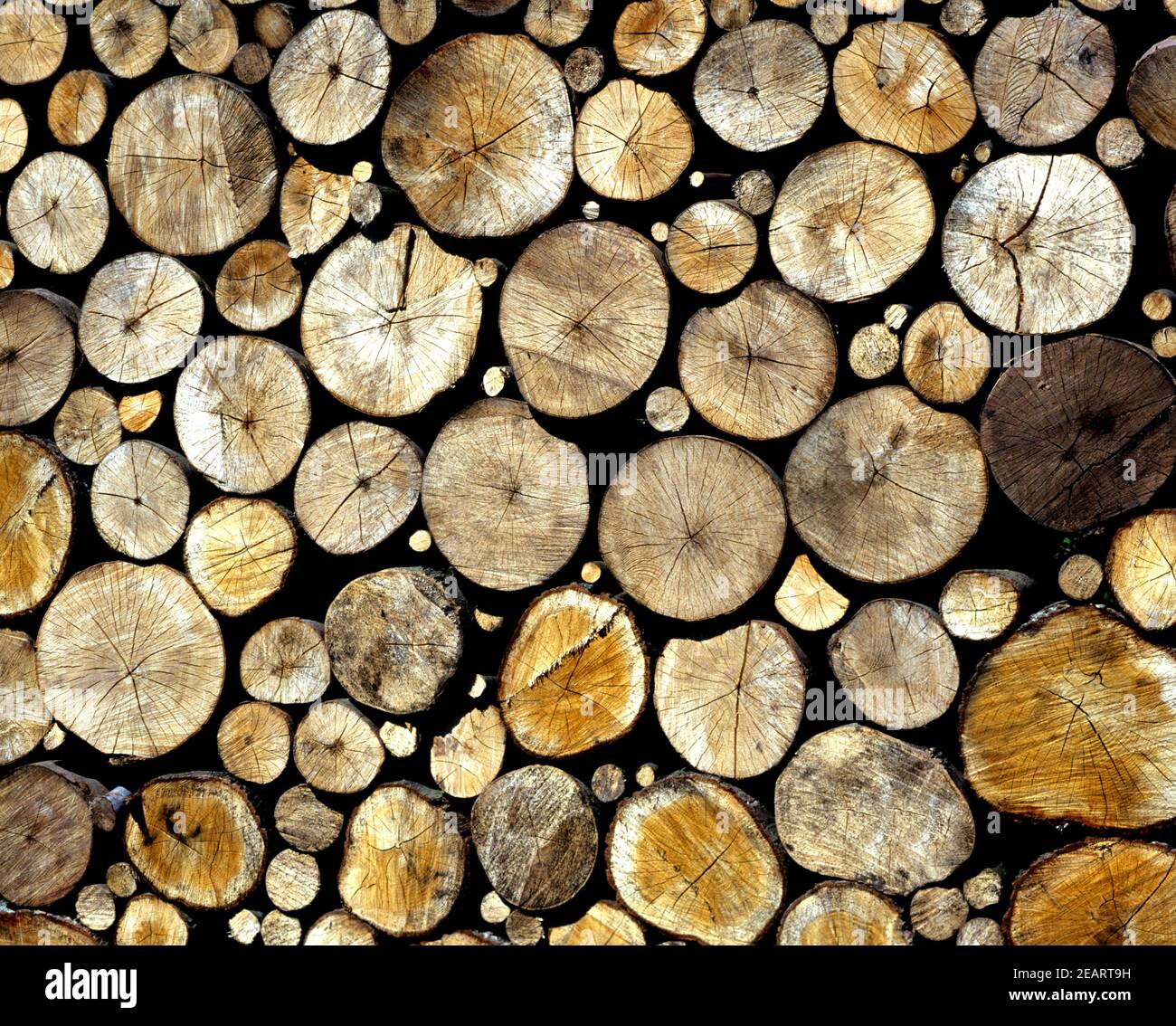 Holzstapel Foto de stock