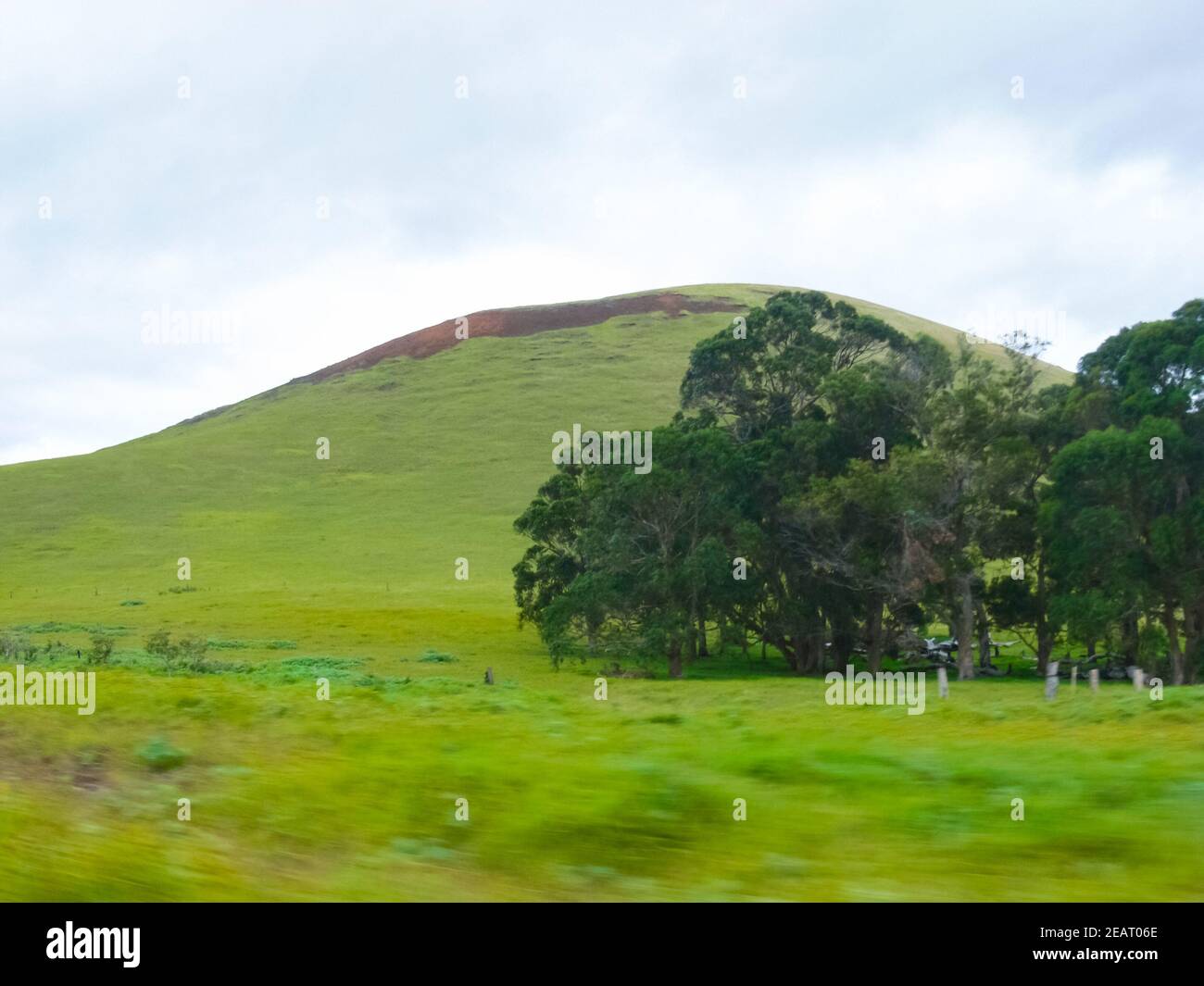 Naturaleza de la Isla de Pascua, paisaje, vegetación y costa. Foto de stock