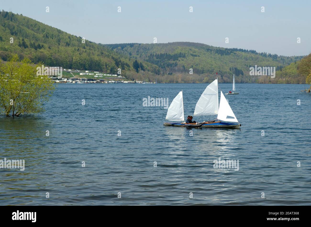 Edersee, Rehbach, Bucht, Segelboote Foto de stock