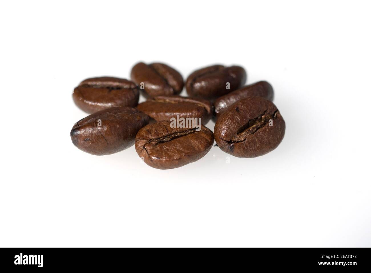 Kaffeebohnen, Coffea arábica Foto de stock