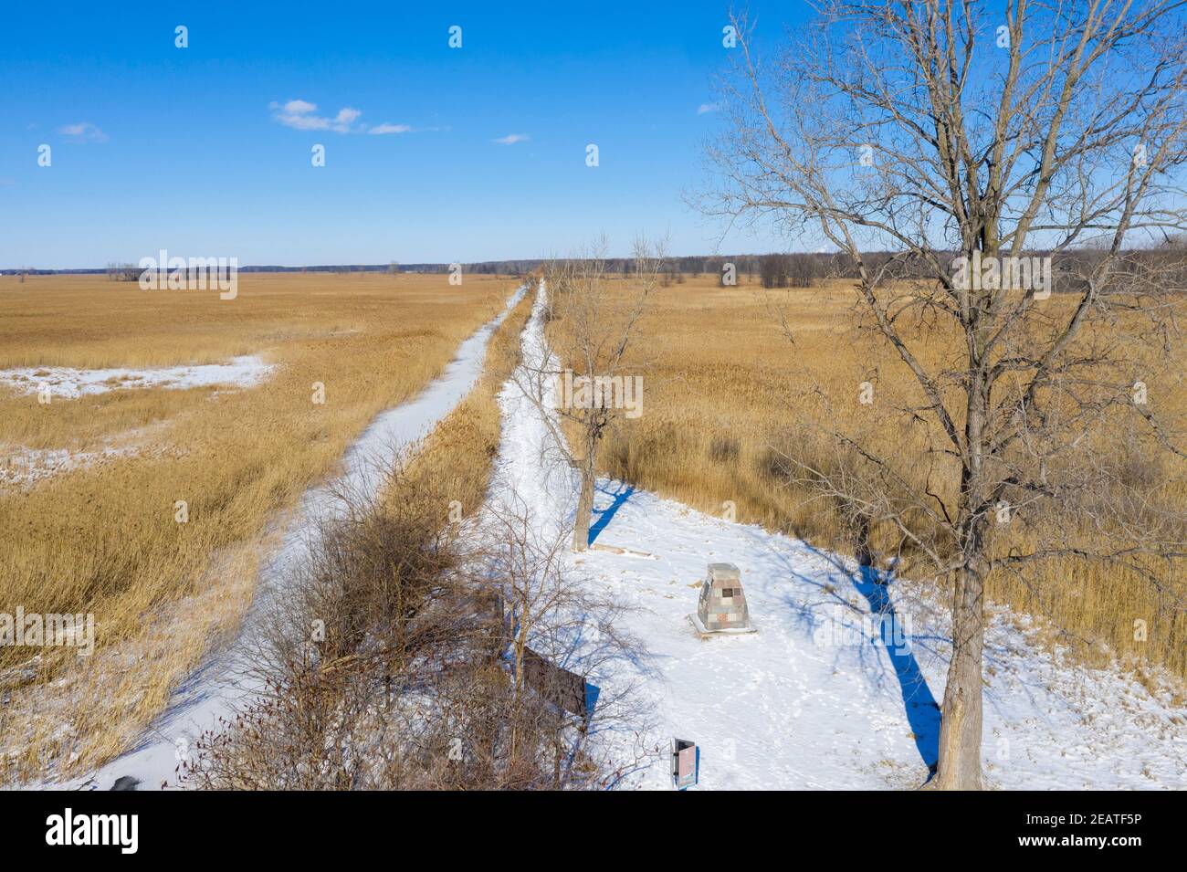 Algonac, Michigan - St. John's Marsh, una pradera húmeda con senderos para caminatas y paseos en canoa. Las colas nativas y otras plantas han sido reemplazadas en gran medida por TH Foto de stock
