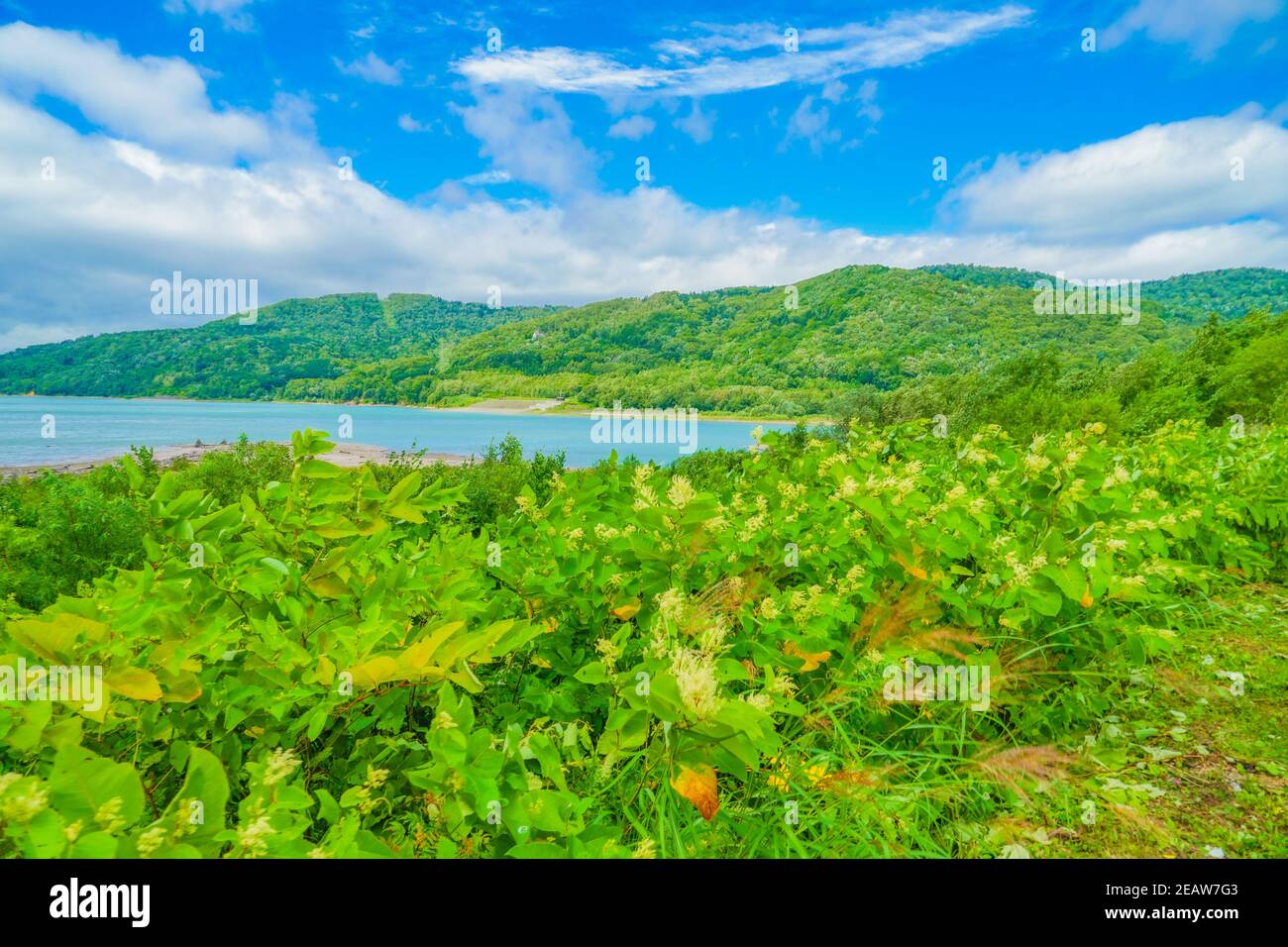 Presa del lago Chubetsu (Hokkaido Kamikawa-gun) Foto de stock