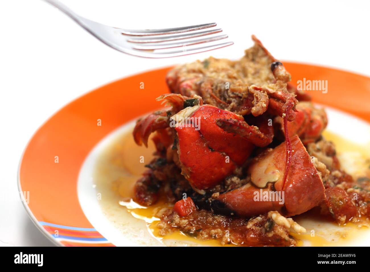 plato con ragout de mariscos y pedazos de langosta Fotografía de stock -  Alamy