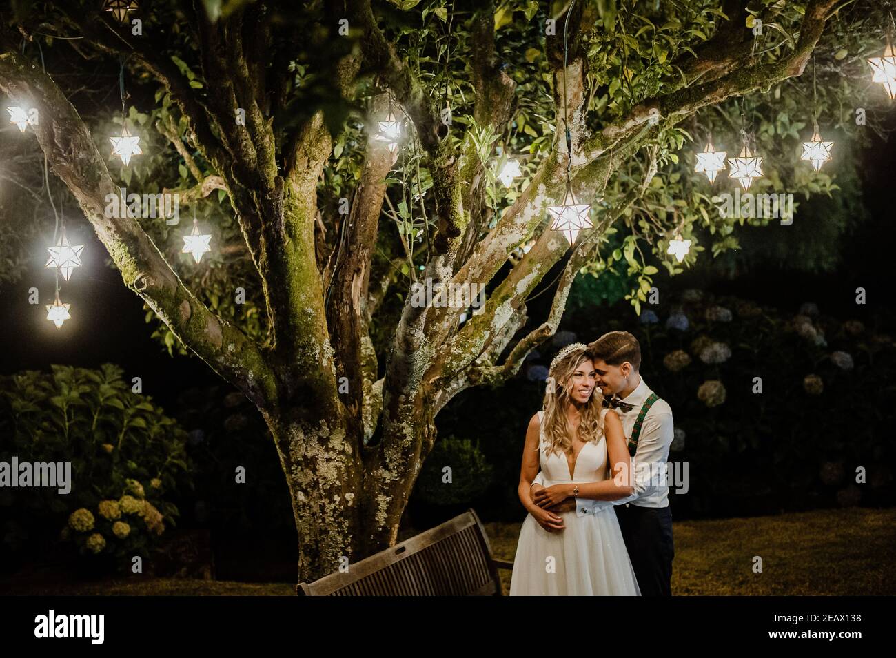 Pareja bajo un árbol con luces colgantes en su boda día Fotografía de stock  - Alamy