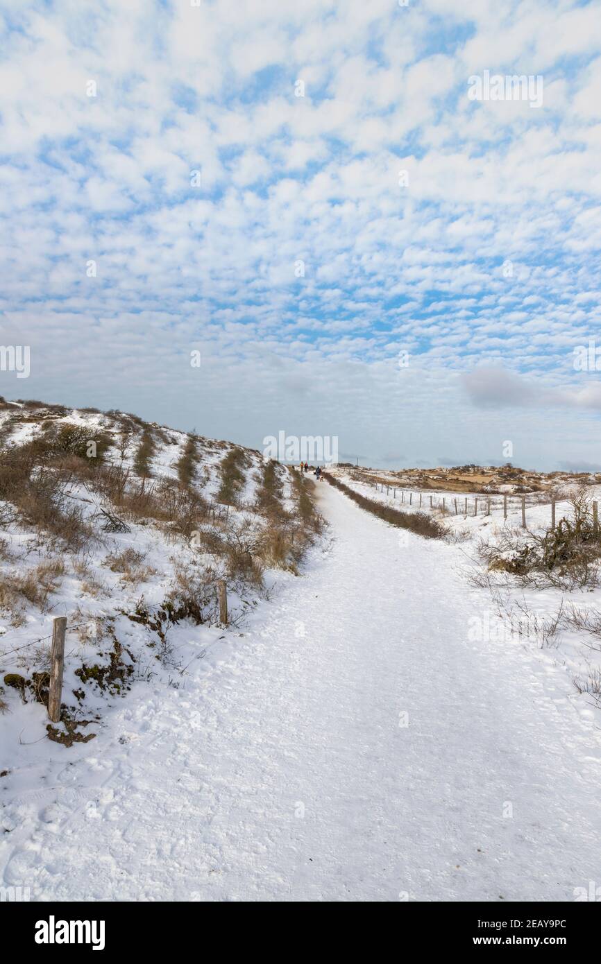 Una pista frecuentada en Berkheide, una reserva natural en un entorno invernal, Katwijk aan Zee, Holanda del Sur, Holanda Foto de stock