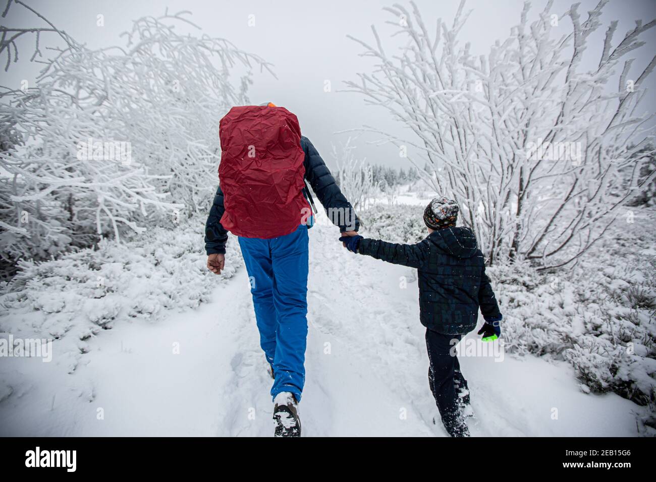 Padre e hijo senderismo en invierno Foto de stock