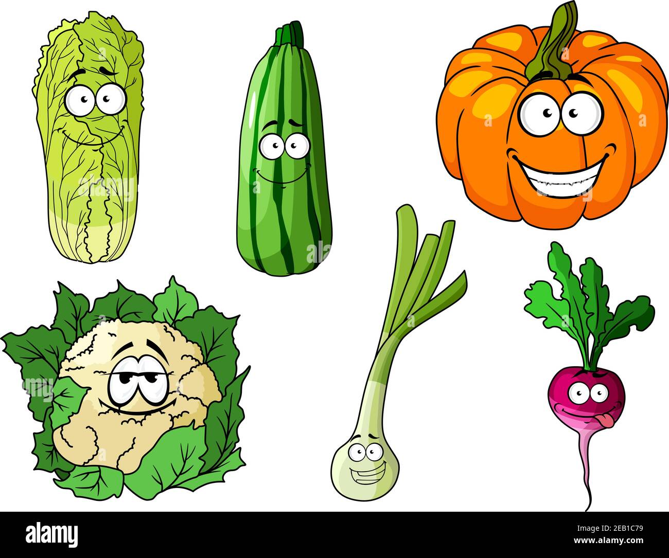 Verduras de dibujos animados frescas y coloridas, incluyendo un pepino,  calabaza, coliflor, cebolla, rábano y lechuga de cos Imagen Vector de stock  - Alamy