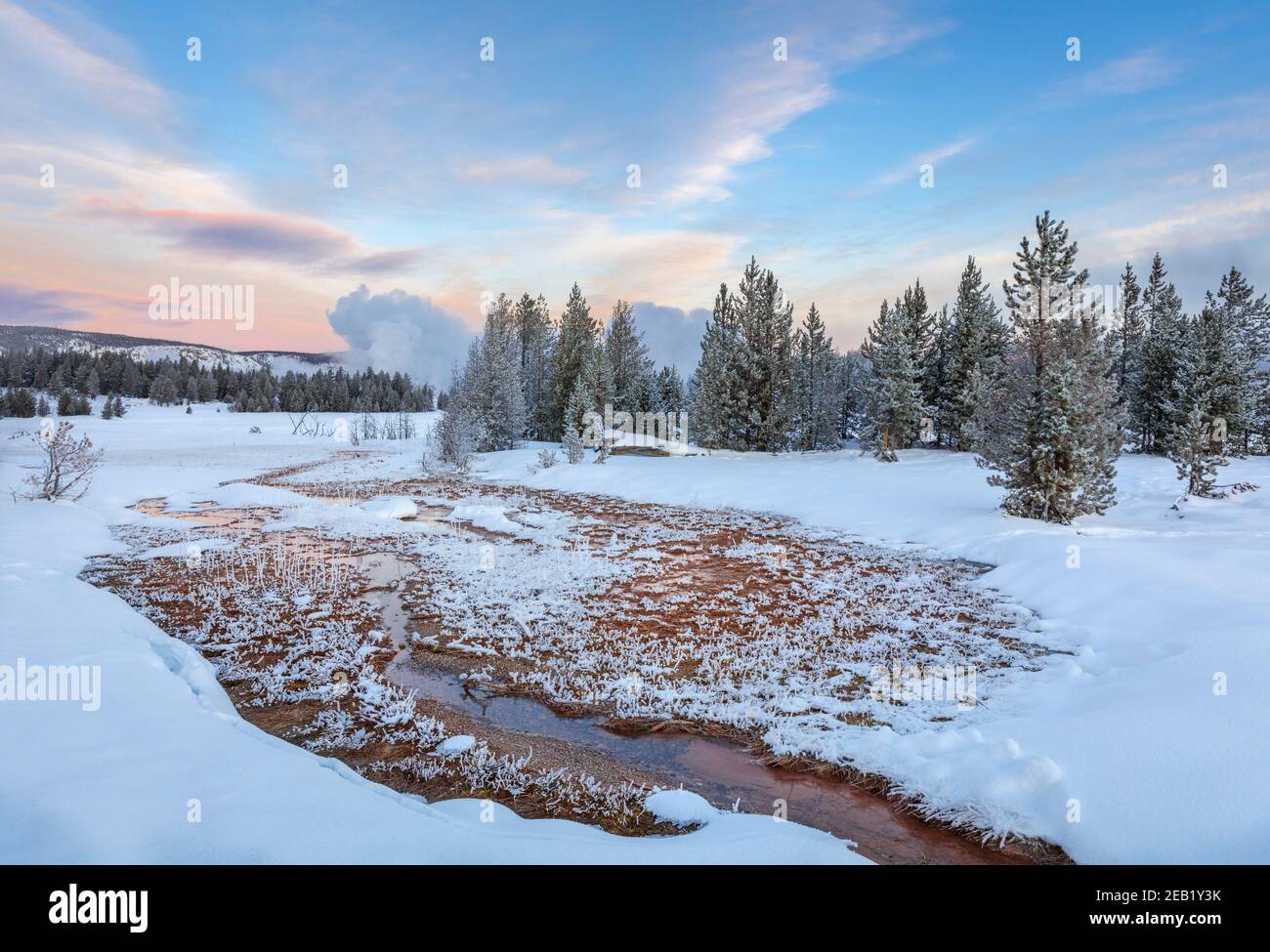 Yellowstone National Park, WY: Piscina termal en la cuenca alta del géiser al amanecer Foto de stock