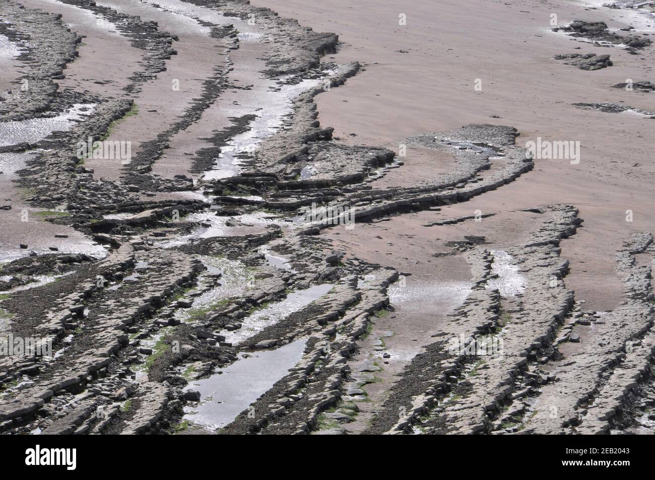 Las crestas de piedra caliza aparecen a través de la arena en la playa del Canal de Bristol en Kilve en la costa al pie de las colinas Quantock en Somerset. Foto de stock