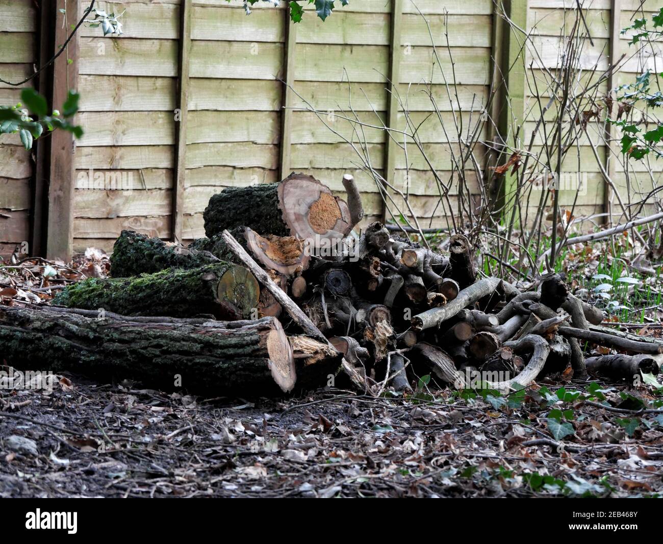 Pila de troncos en un parque local Foto de stock