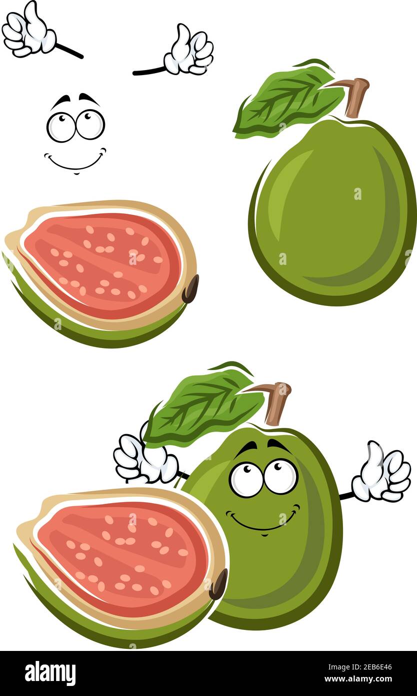 Dibujos animados fruta verde madura de guayaba tropical con pulpa rosa  dulce y semillas en el corte. Menú saludable de postres vegetarianos, libro  de recetas o uso de diseño de jugos Imagen