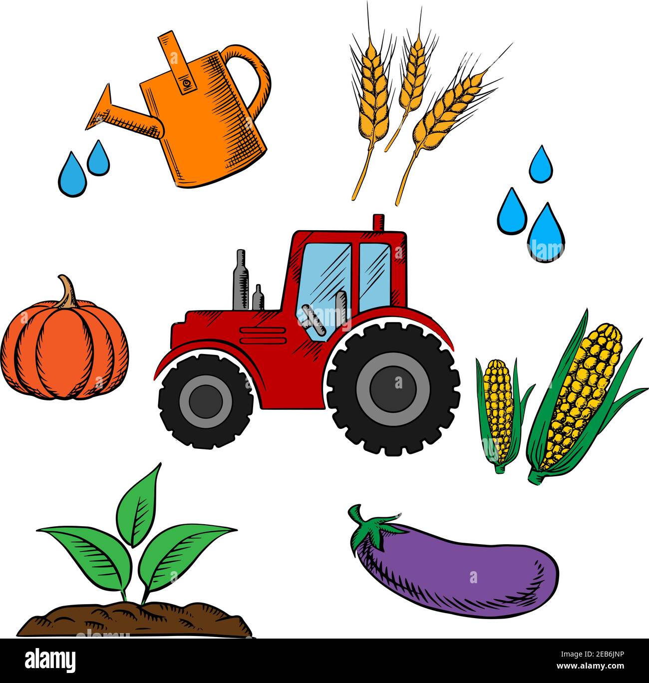 La industria agrícola y la agricultura iconos de alimentos con tractor de  dibujos animados y un círculo de calabaza, trigo, mazorcas de maíz,  berenjena, gotas de agua, granja y riego c Imagen