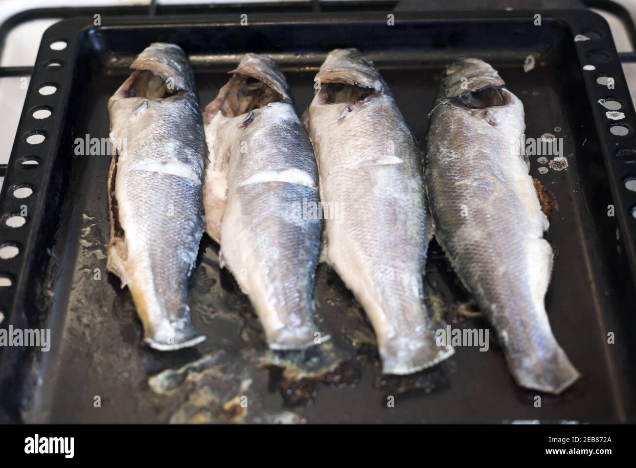 cocido en el horno de lubina chilena. cuatro pescados de tamaño medio de color gris azulado. Un exquisito plato de delicioso pescado raro Foto de stock