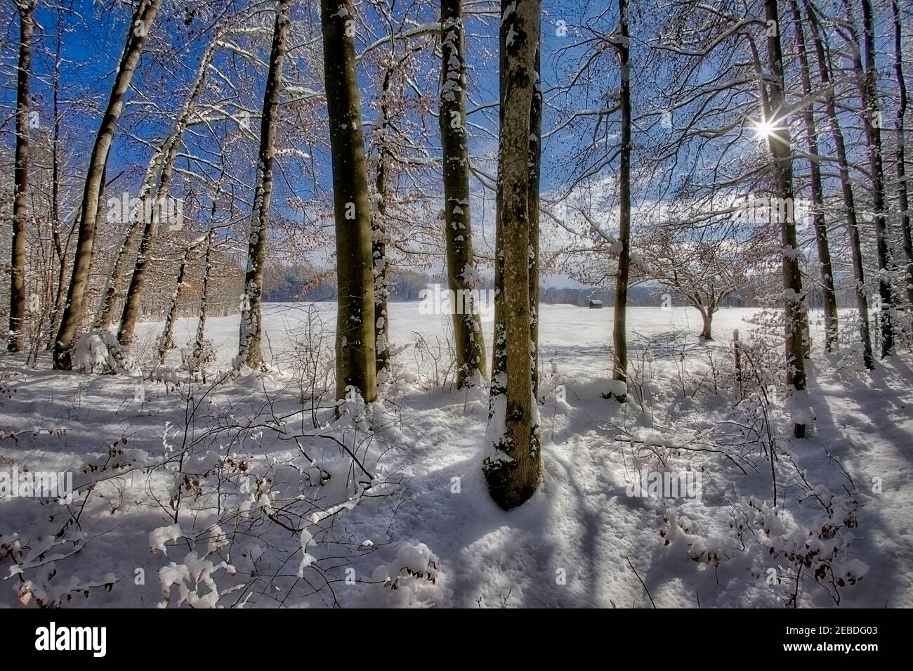 DE - BAVIERA: Escena de invierno cerca de Bad Toelz (HDR-Fotografía) Foto de stock