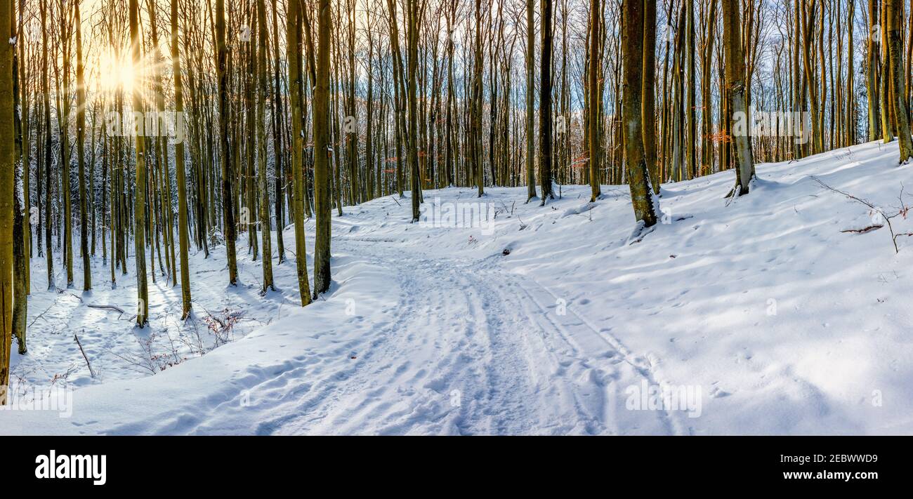 Invierno en Warmia y Mazury en el noreste de Polonia Foto de stock