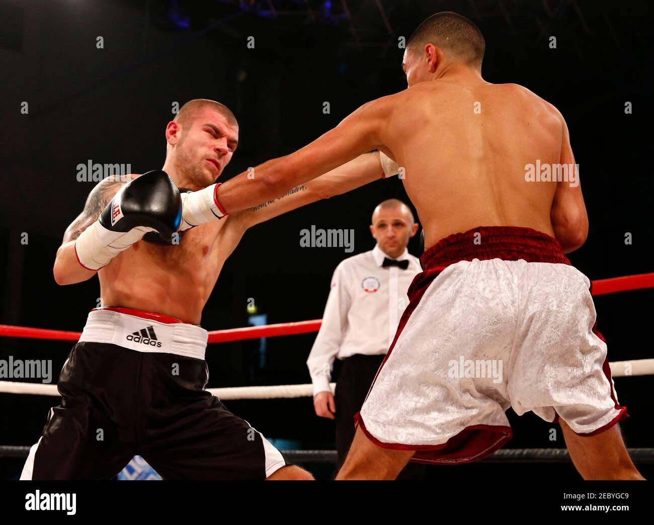 Boxeo - Jordan Gill v Pavels Senkovs - Lightweight - Sports Arena, Hull -  8/12/12 Jordan Gill (R) en acción contra Pavels Senkovs crédito  obligatorio: Action Images / Jason Cairnduff Fotografía de stock - Alamy