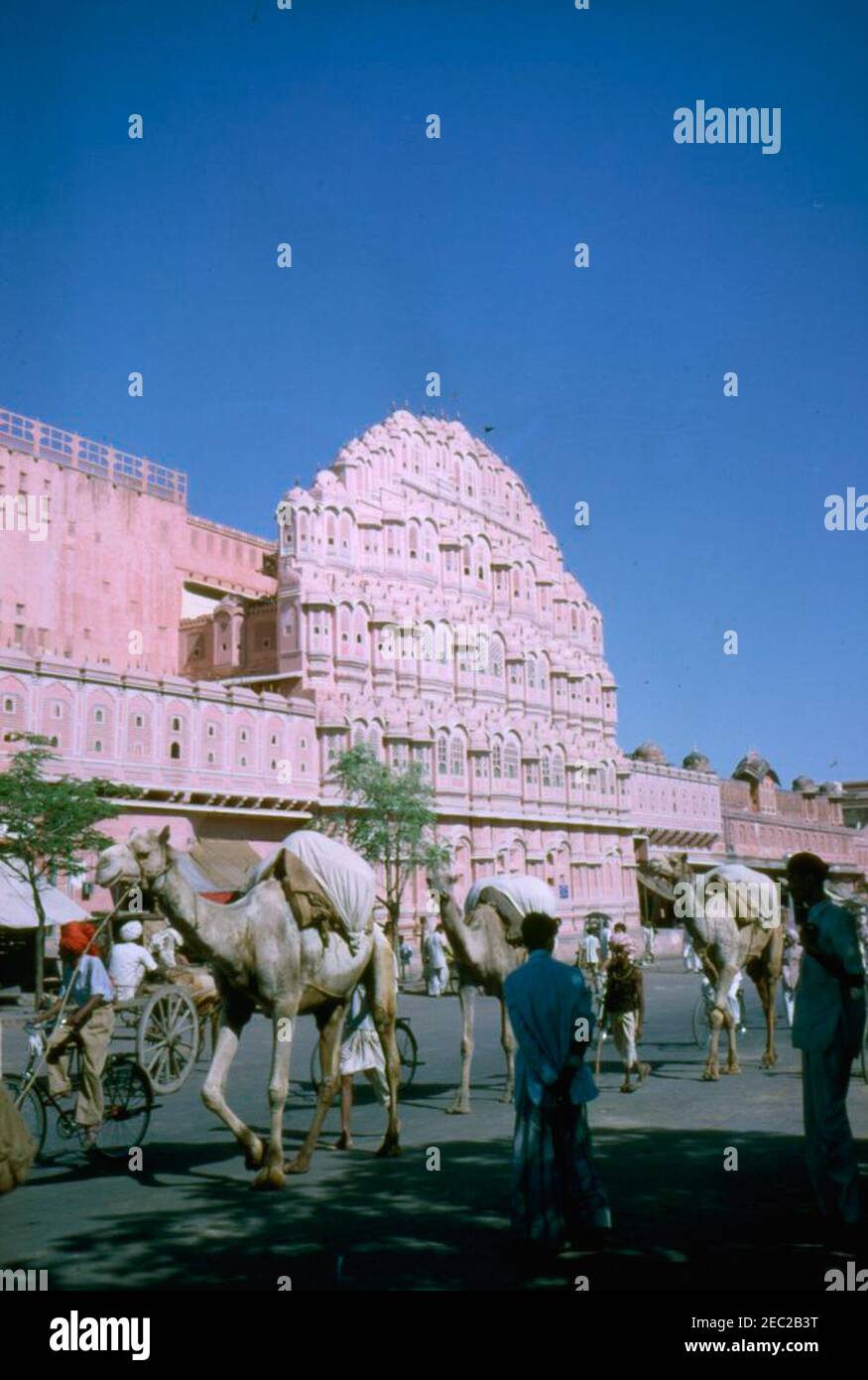 Primera Dama Jacqueline Kennedyu2019s (JBK) viaje a la India y Pakistán: Jaipur, Rajasthan, India, los comerciantes de bazar y vistas de la calle. Vista de personas y camellos caminando frente al Hawa Mahal en Jaipur, Rajasthan, India. Foto de stock