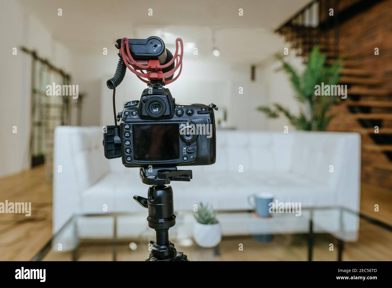 Cámara de vídeo profesional para la grabación de programas deportivos. La  cámara tiene un micrófono grande Fotografía de stock - Alamy