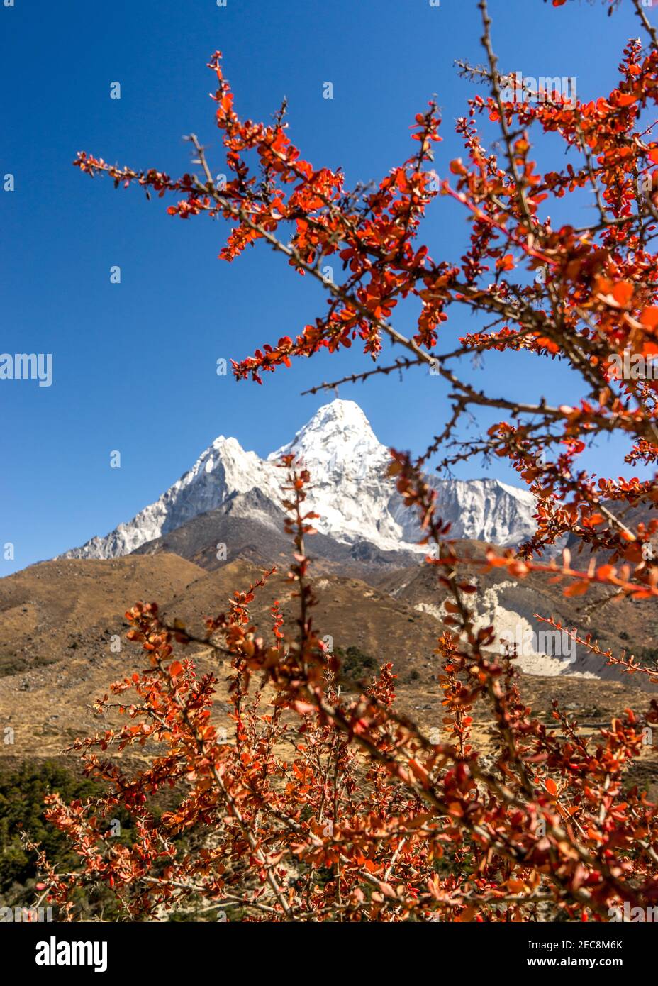 Otoño en las montañas, Ama Dablam pico en el fondo, Himalayas en Nepal, trekking al Everest base Camp, expedición al monte Amadablam Foto de stock